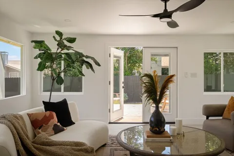 a living room with furniture flowerpot and window