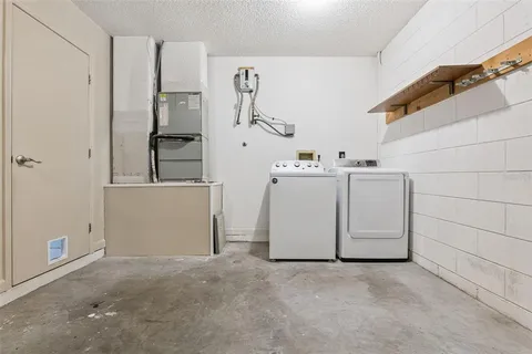 a view of a backyard with potted plants and large tree