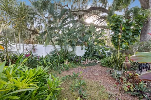 a close up of a flower