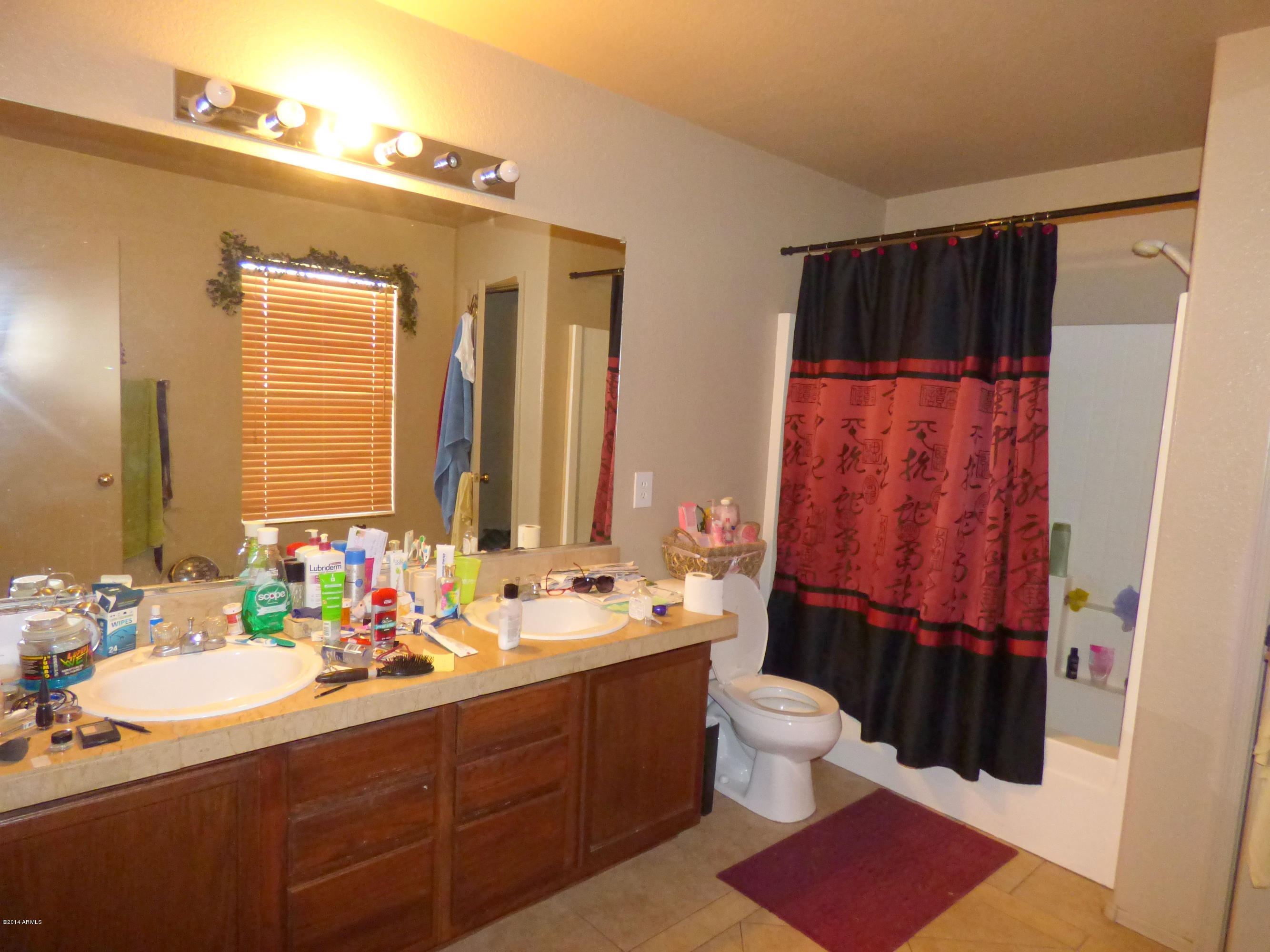 9413 West Eaton Road Phoenix, AZ 85037 - Photo 5 of 13 P1010384a