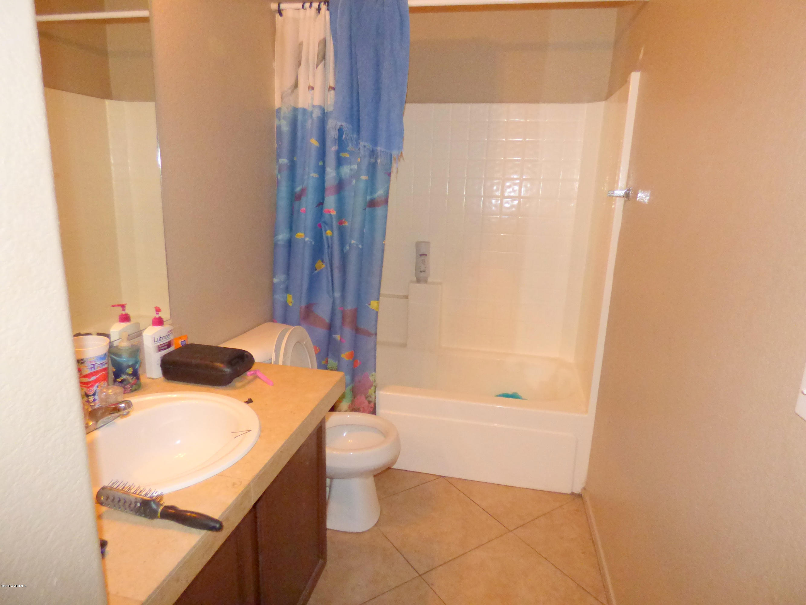 9413 West Eaton Road Phoenix, AZ 85037 - Photo 7 of 13 P1010388a