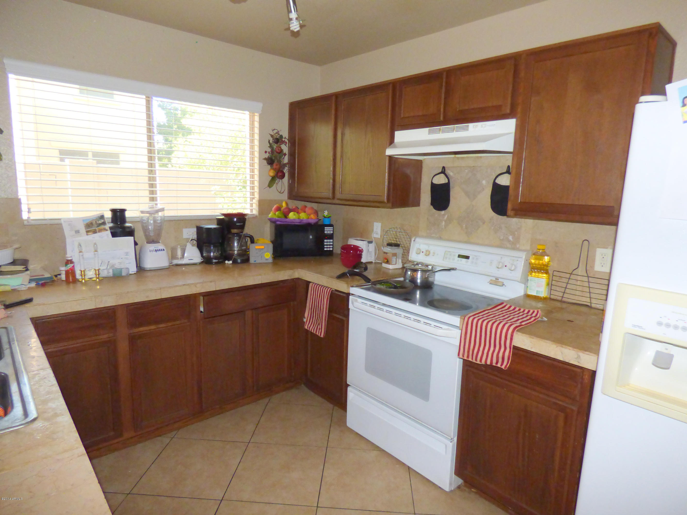 9413 West Eaton Road Phoenix, AZ 85037 - Photo 10 of 13 P1010395a