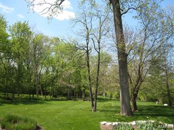 9 Brookwood Road Town and Country, MO 63131 - Photo 44 of 47