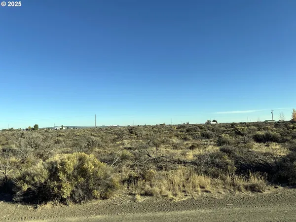 $10,000 | Pinion Lane, Unit 9200, Christmas Valley, OR 97641