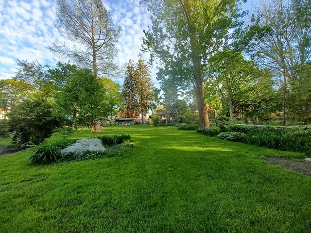 a view of a park with large trees