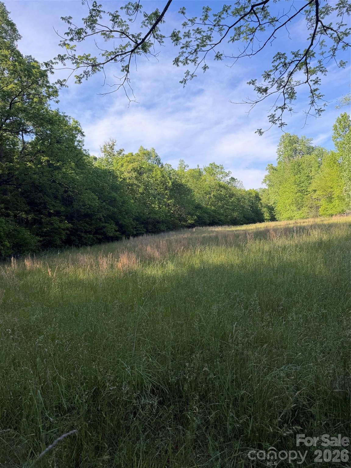 Lot 8 Parker Padgett Road Old Fort, NC 28762 - Photo 9 of 9