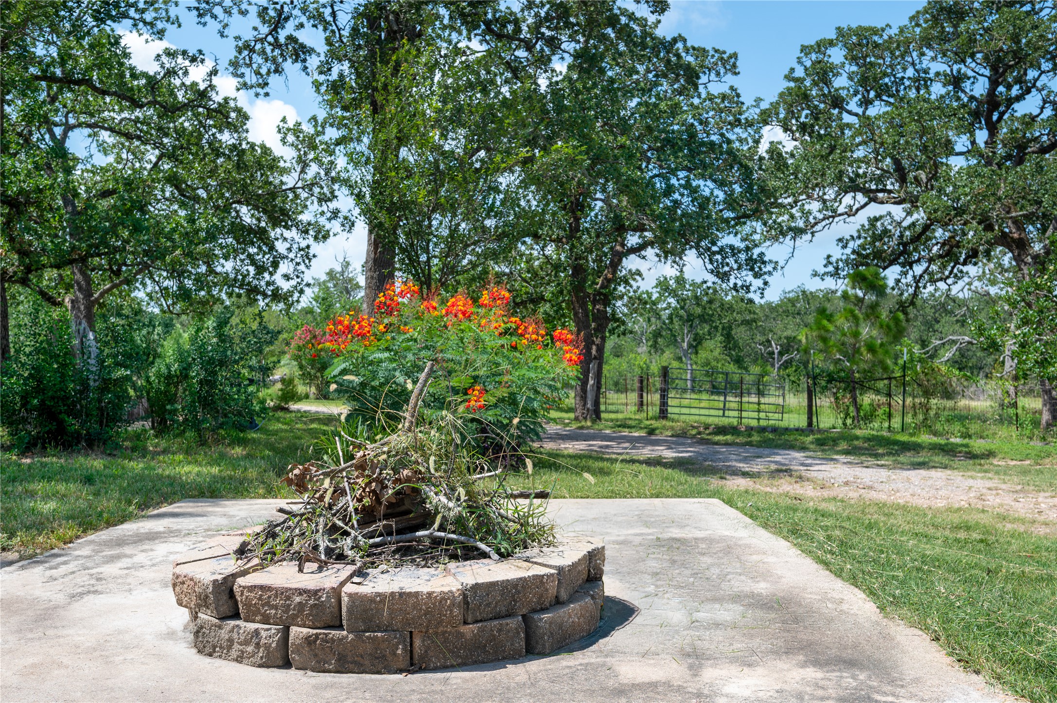270 Dry Creek Road Manor, TX 78653 - Photo 24 of 40 A spacious backyard with mature trees and a dedicated fire pit for outdoor entertaining.