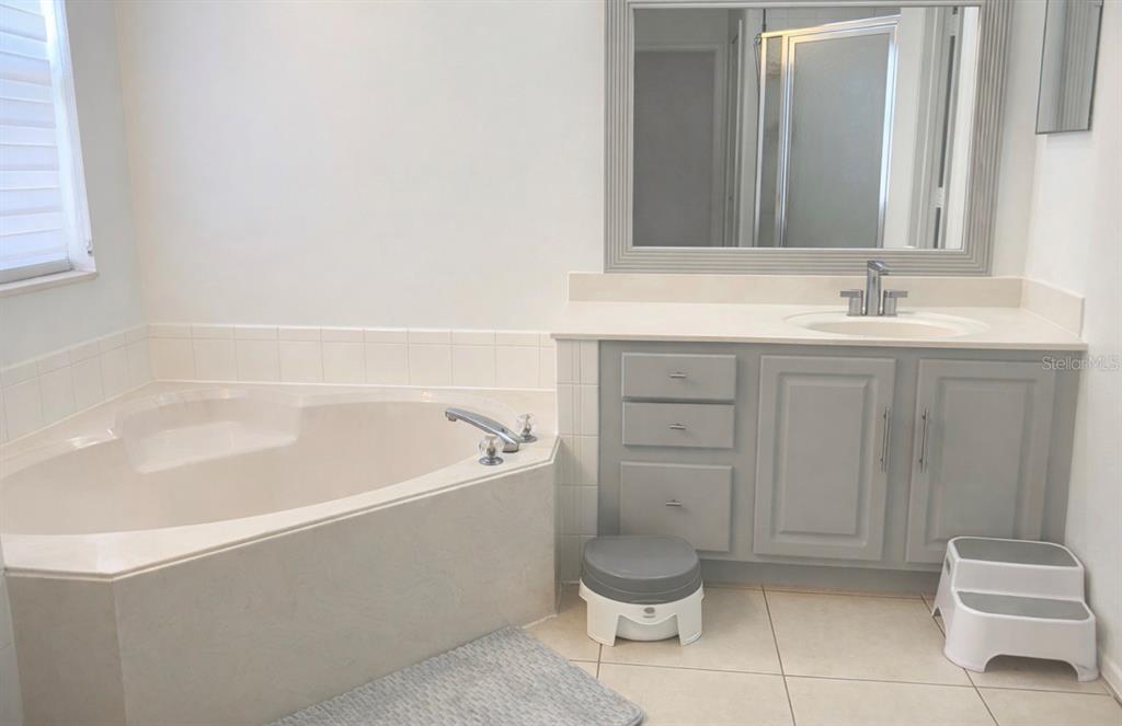 13851 Amberleigh Road Orlando, FL 32837 - Photo 15 of 24