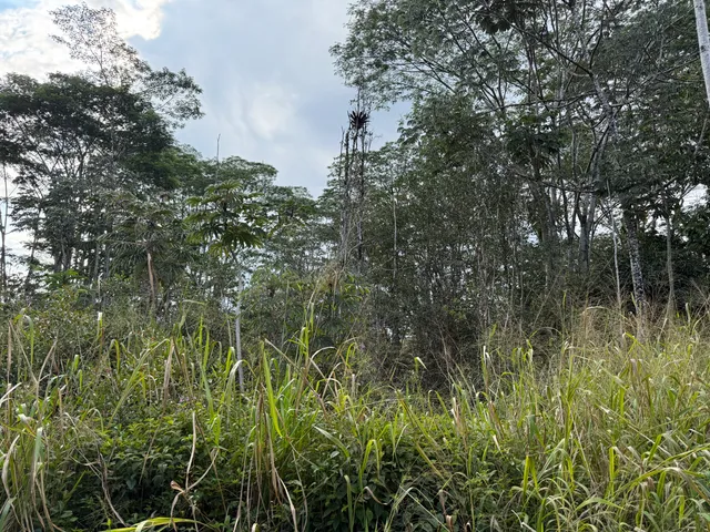 $35,000 | 22 Sandalwood Court, Pahoa, HI 96778