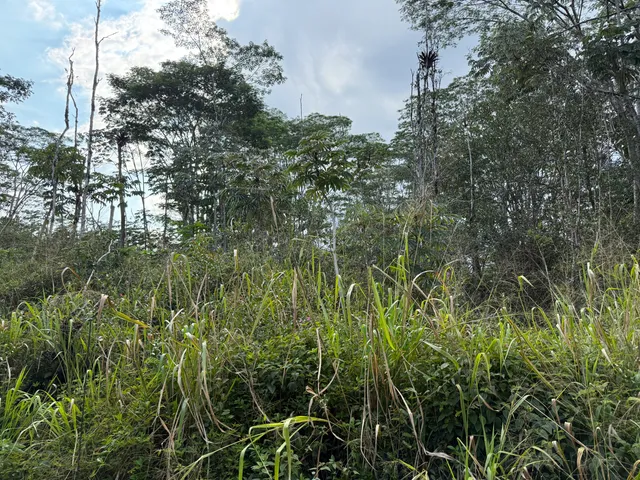 $35,000 | 22 Sandalwood Court, Pahoa, HI 96778