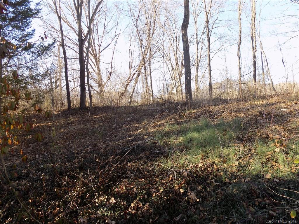 171 North Canton Road Canton, NC 28716 - Photo 3 of 7 a view of dirt yard with a large tree