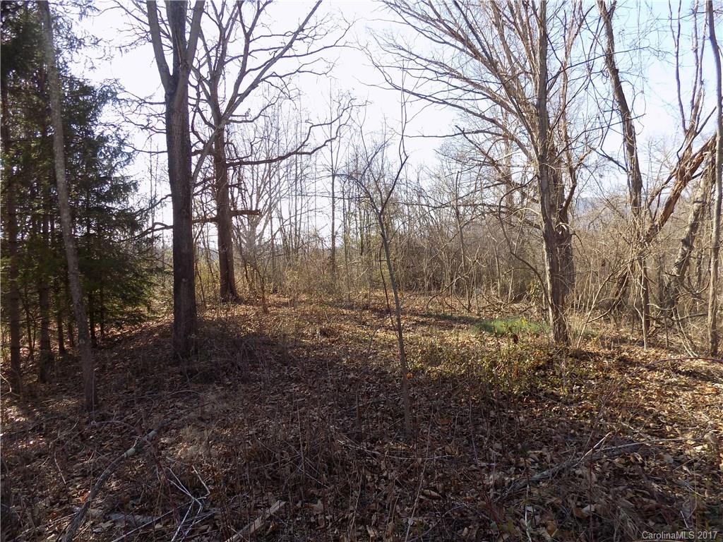 171 North Canton Road Canton, NC 28716 - Photo 4 of 7 a view of a forest with trees