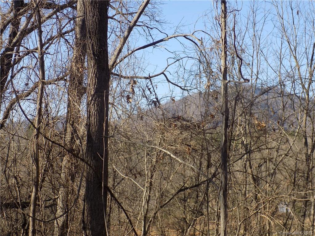 171 North Canton Road Canton, NC 28716 - Photo 5 of 7 a view of a yard with lots of tree
