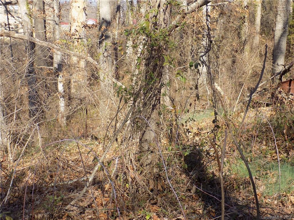171 North Canton Road Canton, NC 28716 - Photo 6 of 7 a view of tree
