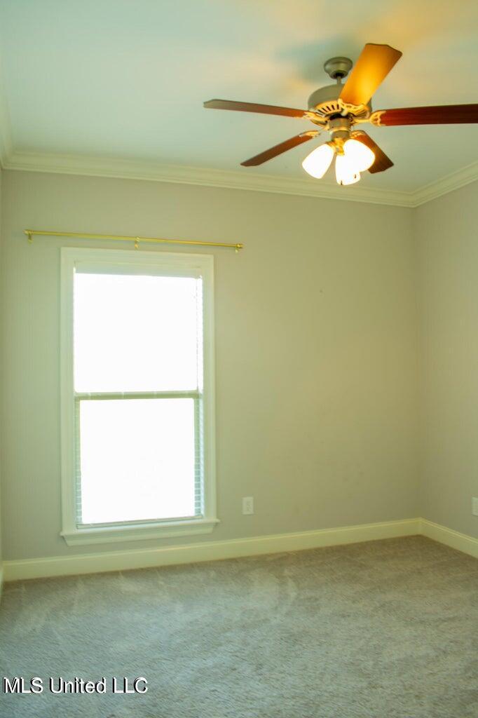 216 Buttonwood Lane Canton, MS 39046 - Photo 17 of 21 20240607200656416668000000-o
