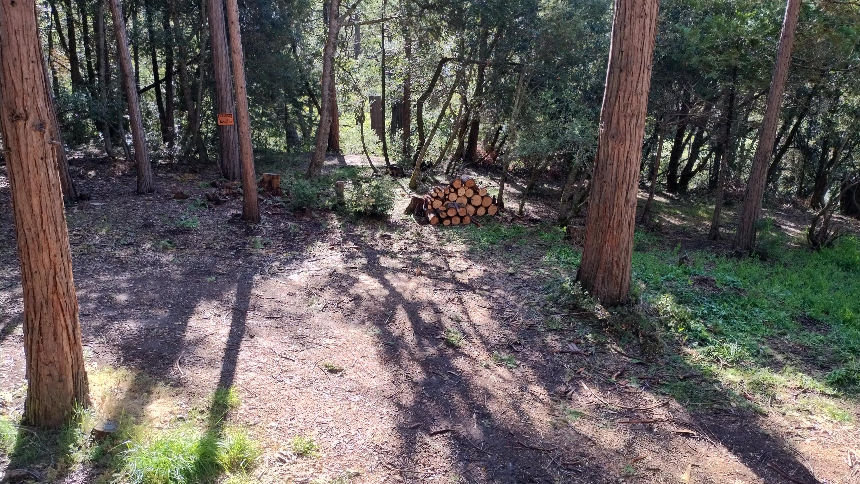 1693 Forest Rte 21S94 Camp Nelson, CA 93265 - Photo 64 of 86 a view of a forest filled with trees