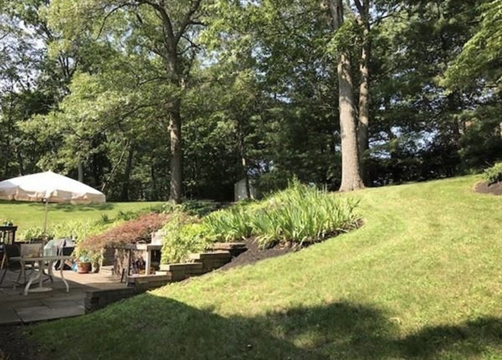 174 Forest Street Waltham, MA 02452 - Photo 13 of 15 a view of an chairs and table in the garden