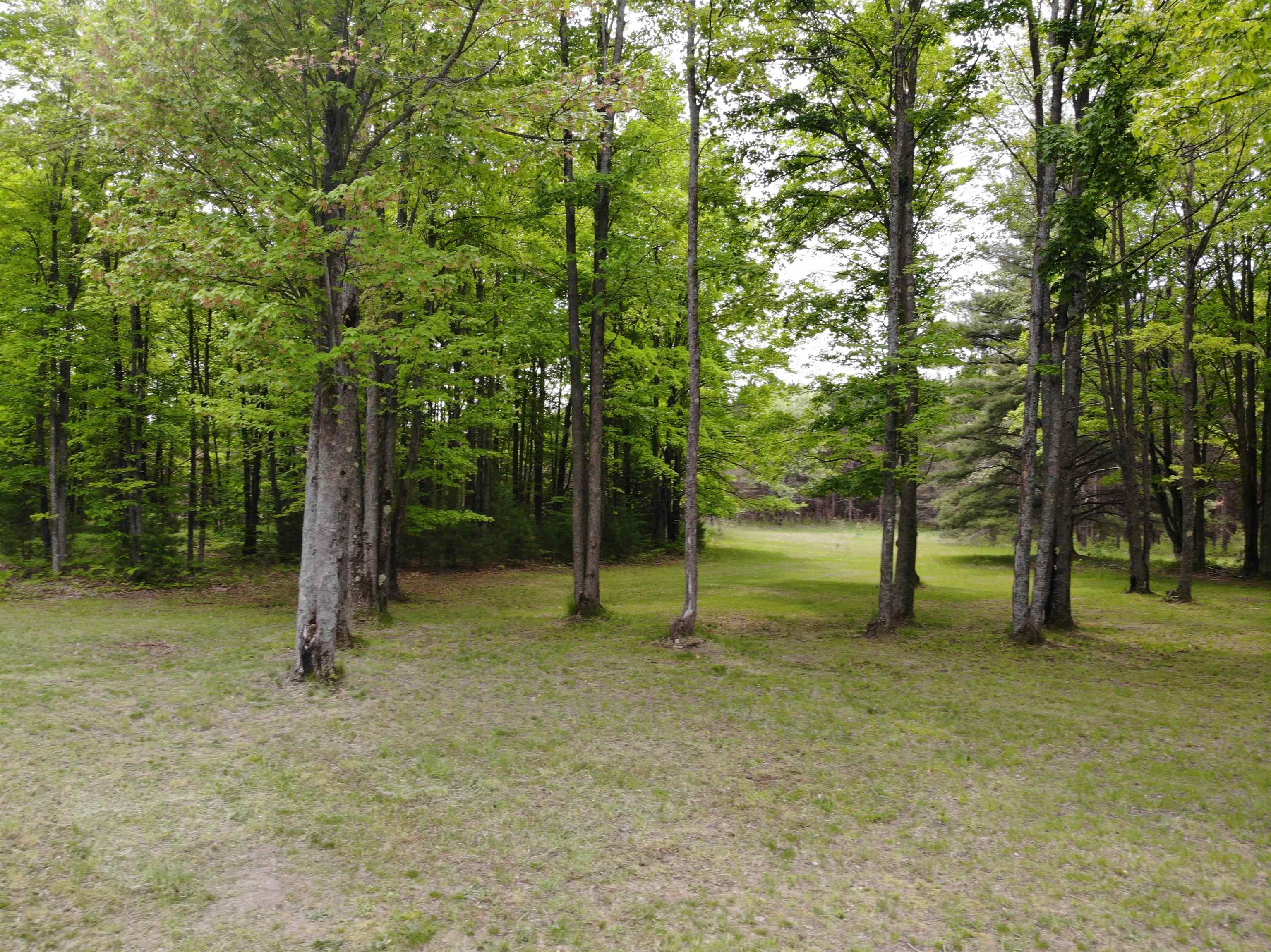 135 Montgomery Road Southwest South Boardman, MI 49680 - Photo 41 of 59