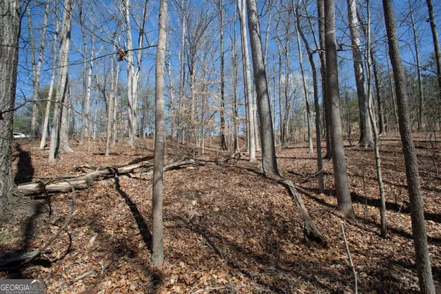 a view of a backyard with of the house