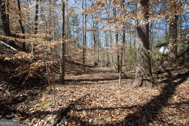 a backyard of a house