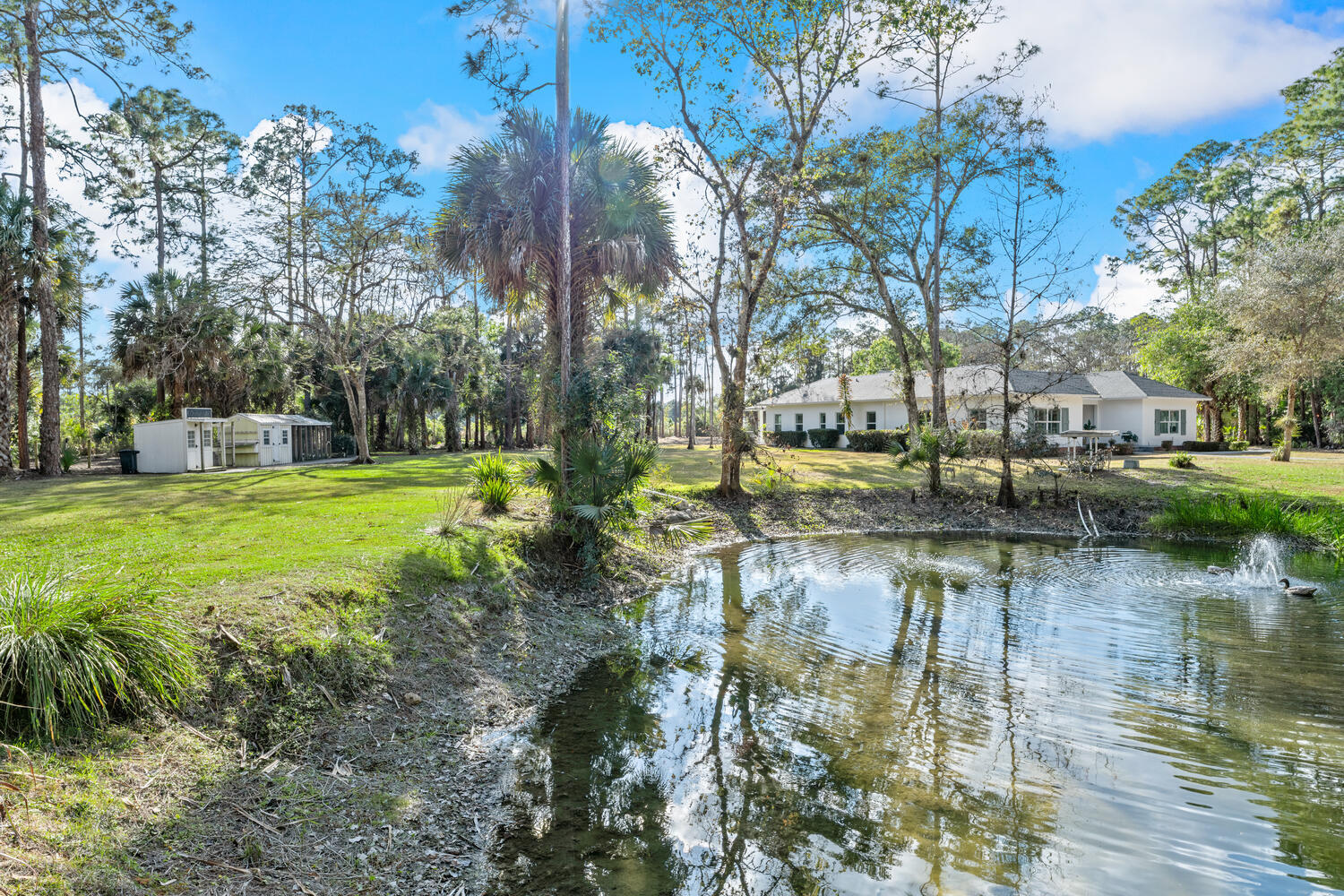 1453 E Road Loxahatchee Groves, FL 33470 - Photo 107 of 121 1453 E Rd Loxahatchee Groves-large-127-0