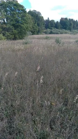 $60,000 | Tyler Hills Drive, Unit 7, Traverse City, MI 49685