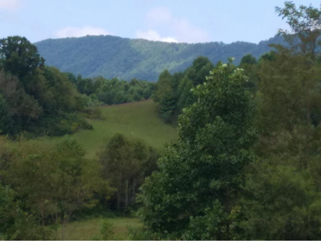 Tbd Cobb Creek Road Butler, TN 37640 - Photo 3 of 8 Photo 3