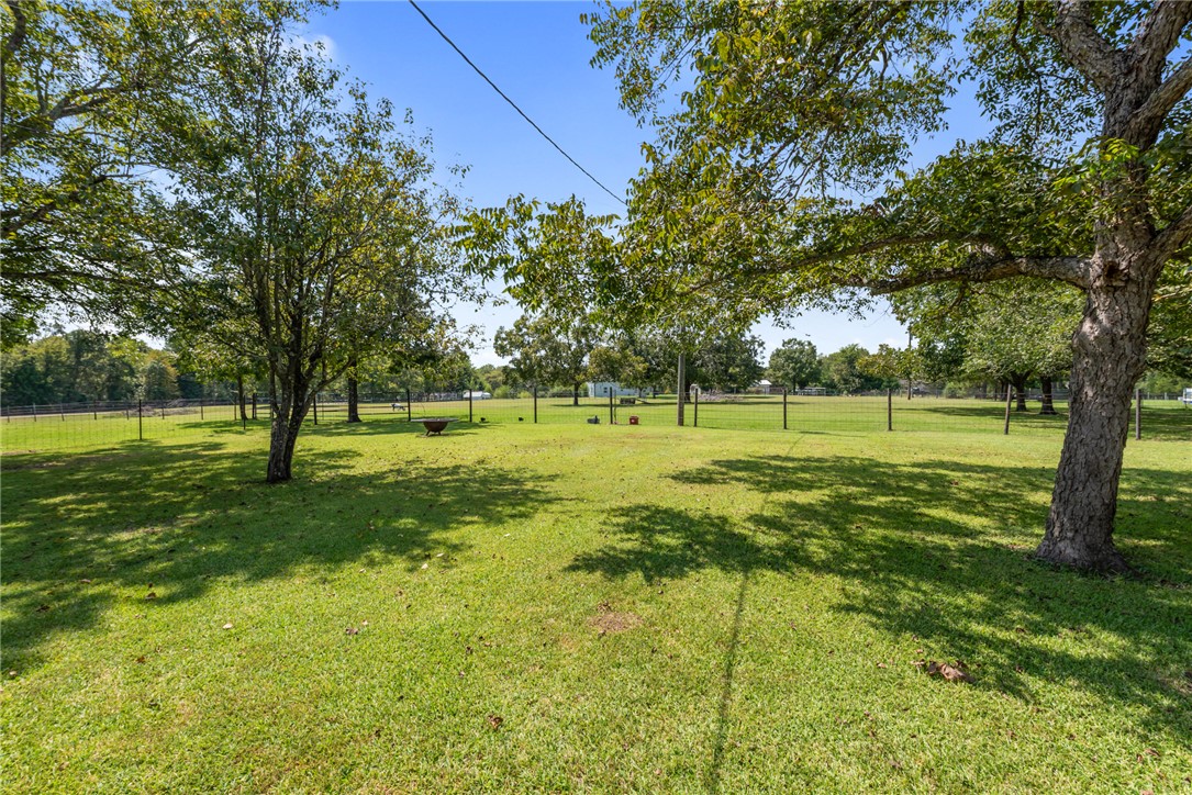 1061 Tafelski Road New Waverly, TX 77358 - Photo 23 of 37 a view of a grassy field with trees