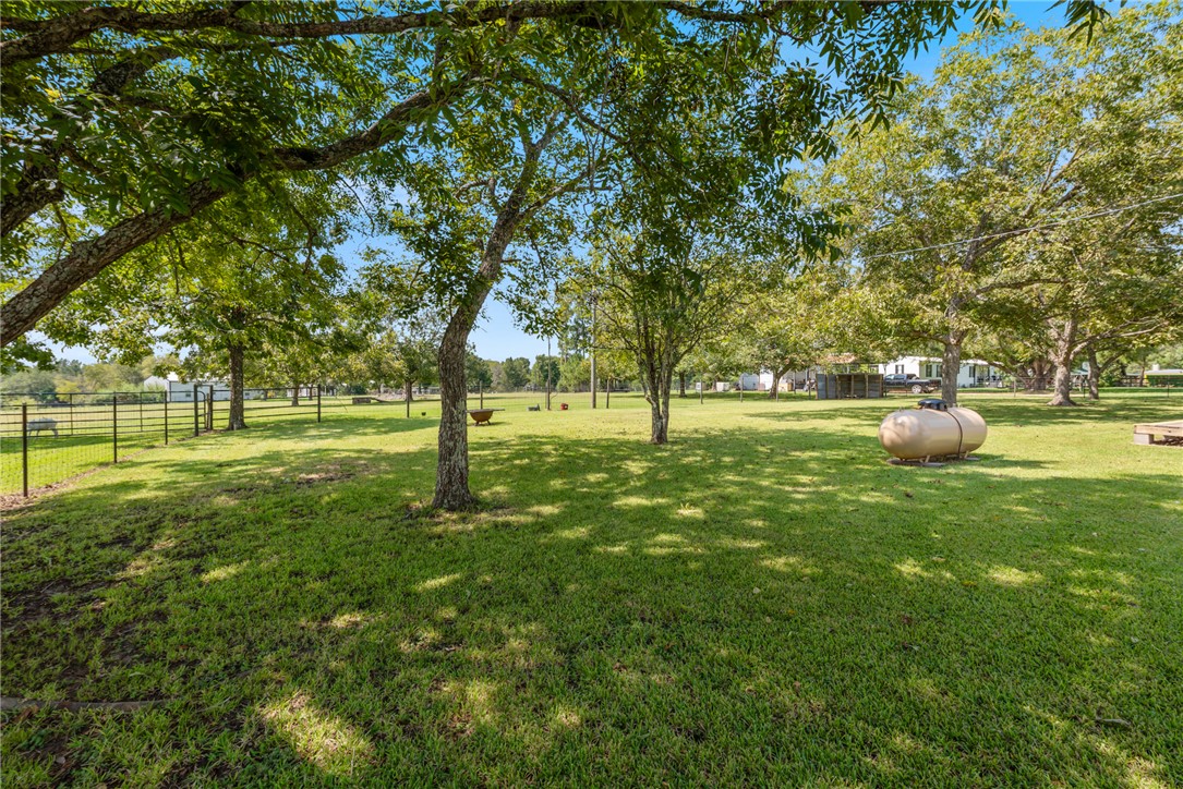 1061 Tafelski Road New Waverly, TX 77358 - Photo 24 of 37 a view of a park with a tree
