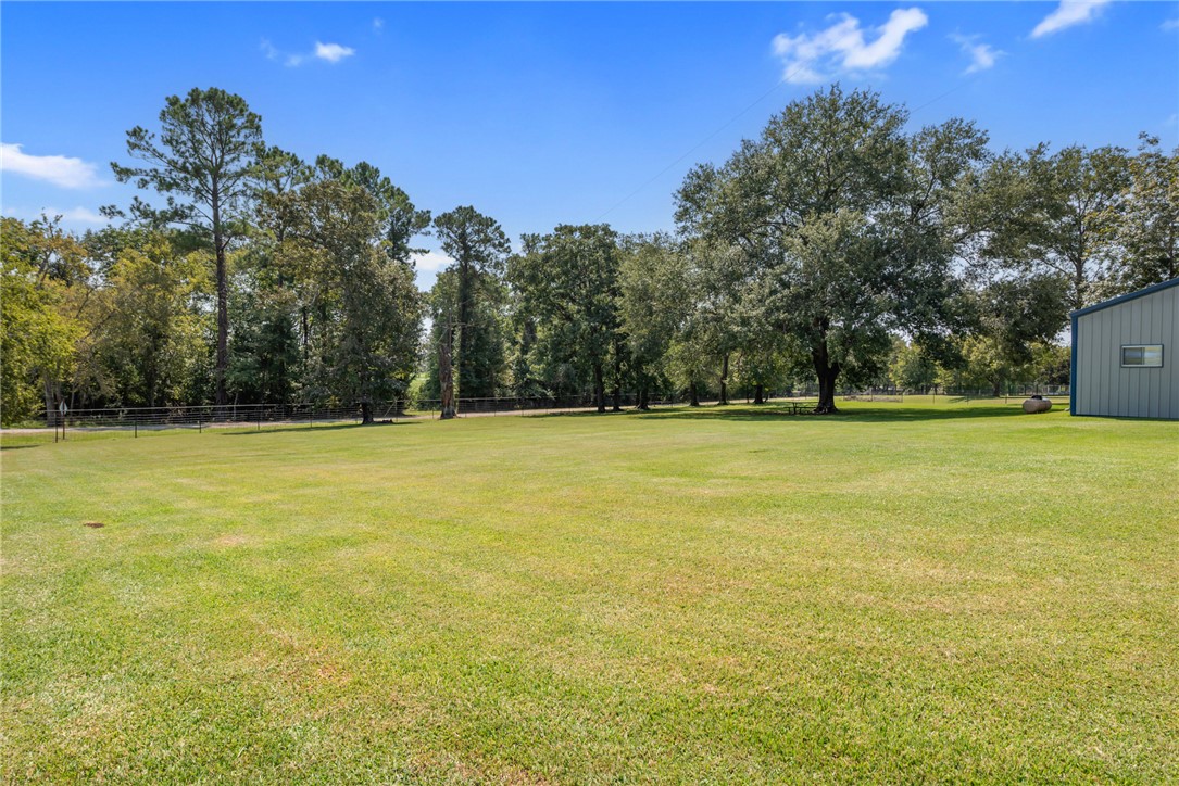 1061 Tafelski Road New Waverly, TX 77358 - Photo 35 of 37 a view of a green field with trees in the background