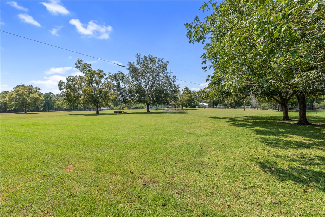 1061 Tafelski Road New Waverly, TX 77358 - Photo 36 of 37 a view of a green field