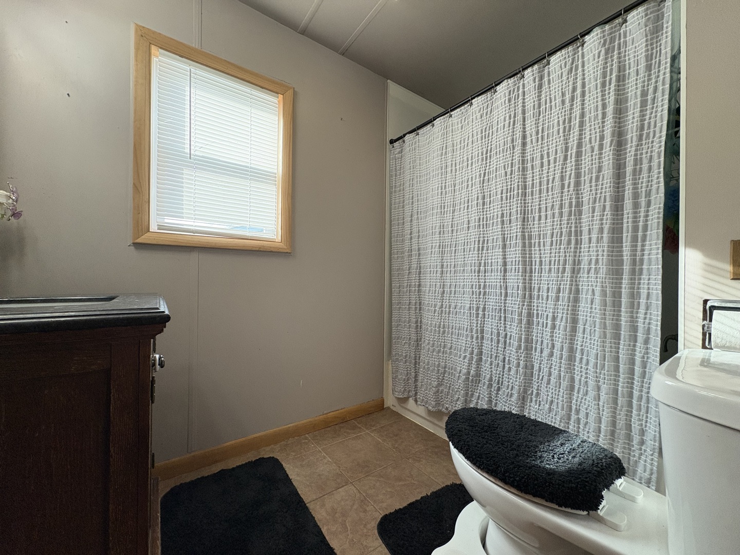 913 Canal Street Ottawa, IL 61350 - Photo 23 of 30 a bathroom with a sink and a toilet