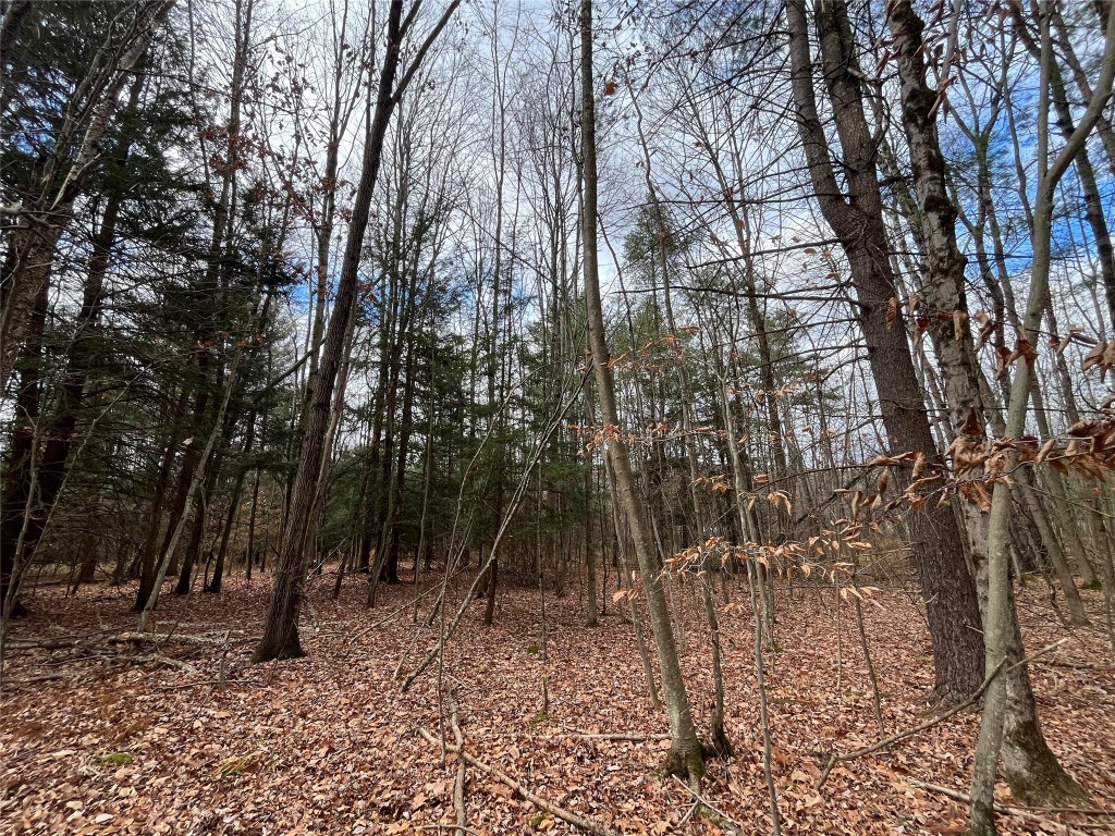 520 Philips Road Windsor, NY 13865 - Photo 6 of 10
