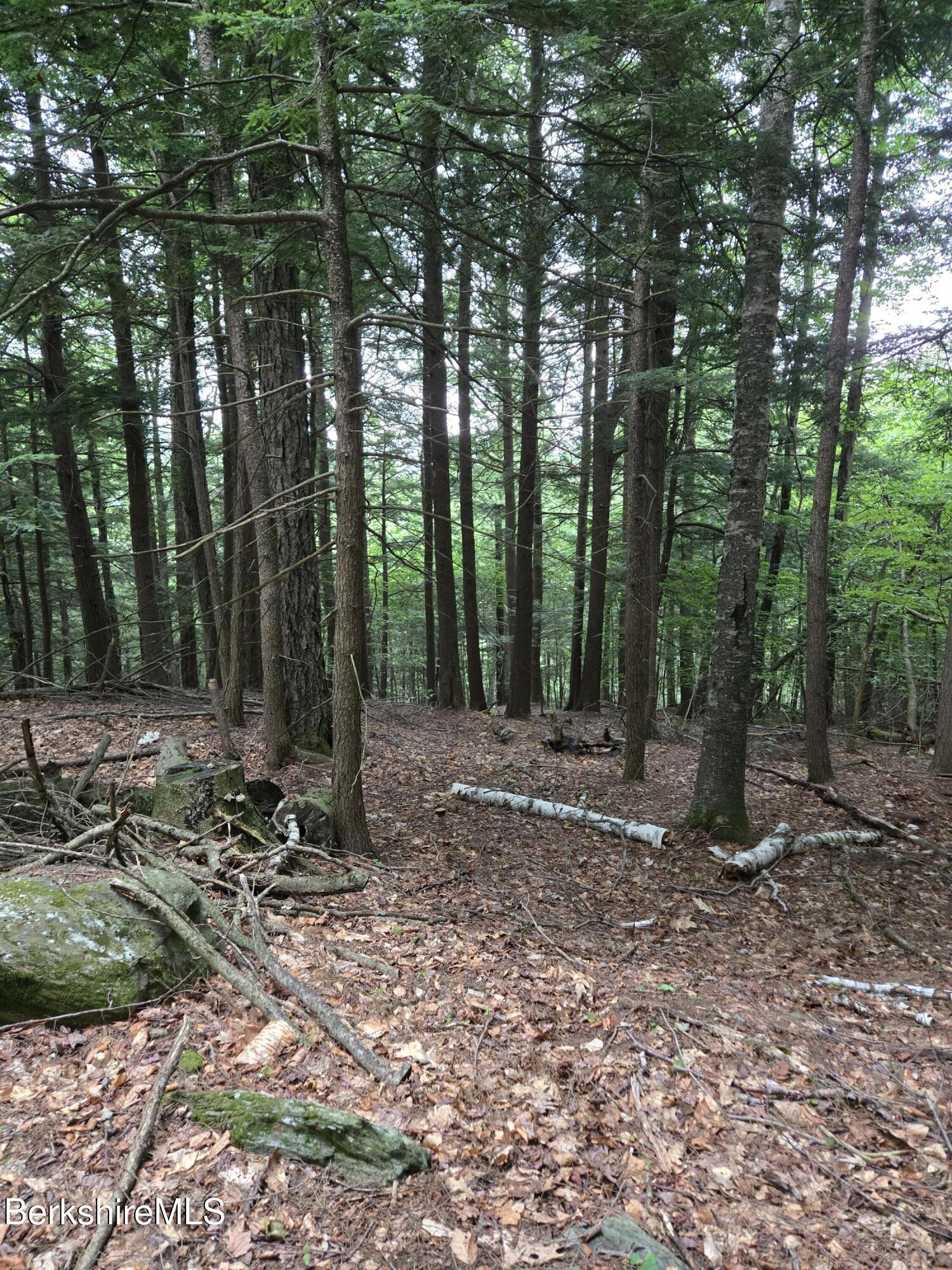 0 Monroe Road Drury, MA 01343 - Photo 6 of 17 1000021830