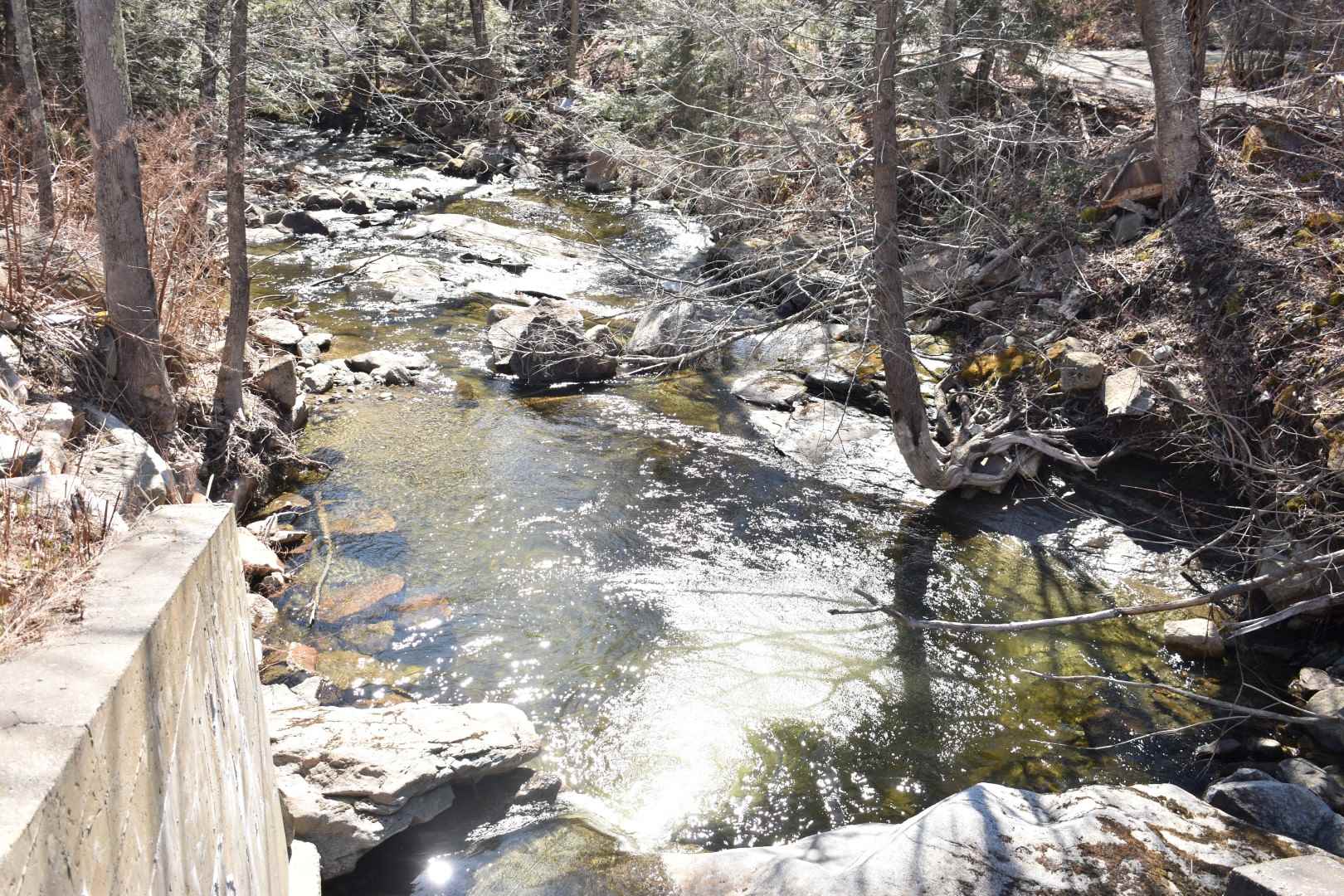 4 East Cemetery Road Orford, NH 03777 - Photo 20 of 29