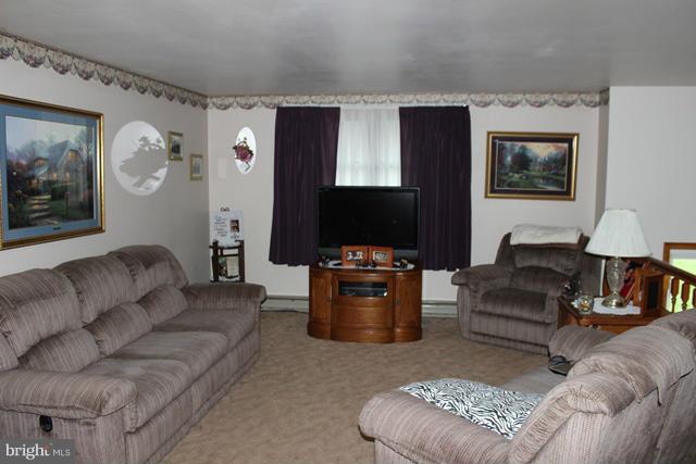 14209 Schellsburg Road Ellerslie, MD 21529 - Photo 4 of 23 Living Room