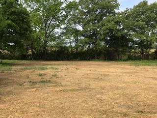 139 Harbin Road Fayetteville, TN 37334 - Photo 11 of 13 a view of a wall