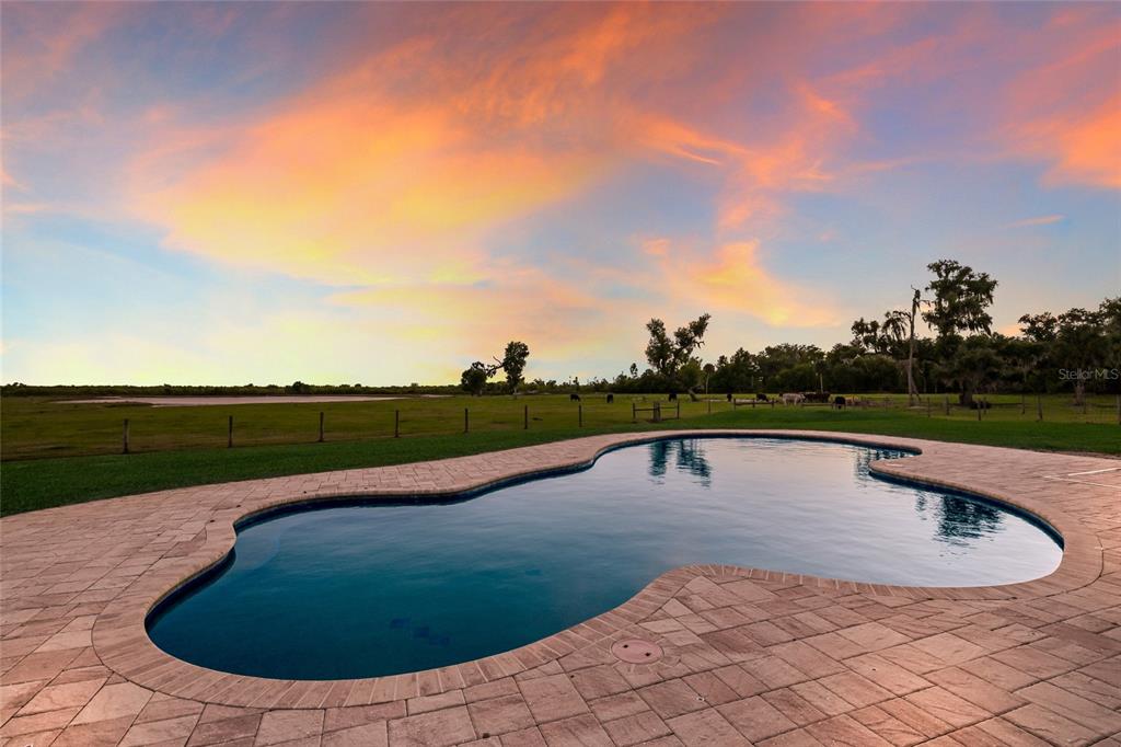 30854 Singletary Road Myakka City, FL 34251 - Photo 55 of 68