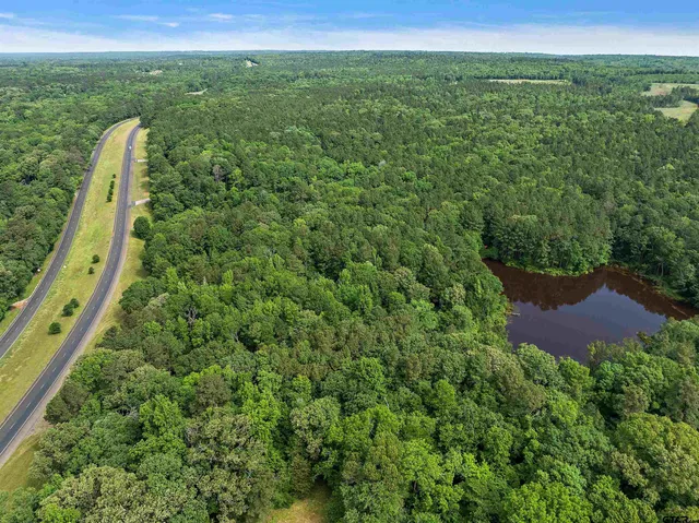 a view of a lush green outdoor space with a sink