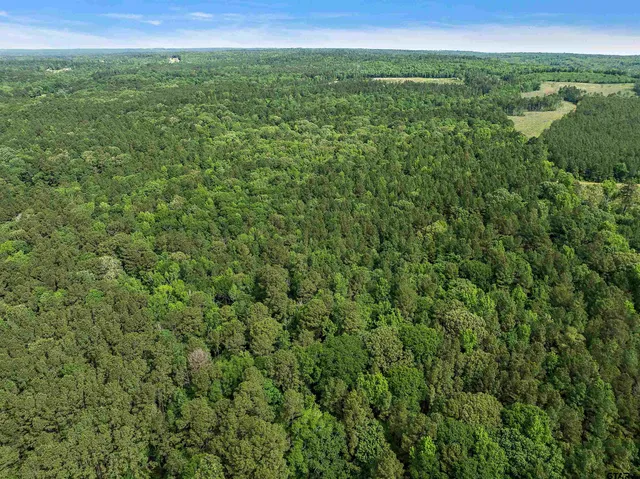 a view of a green field with lots of bushes