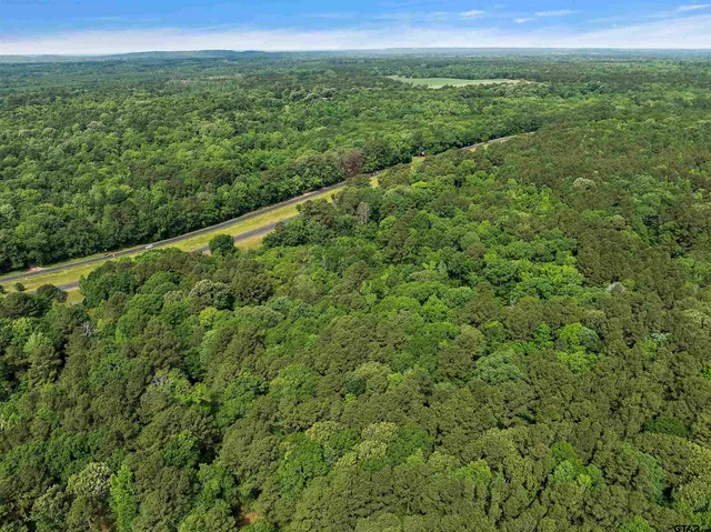 a view of a green field with lots of bushes