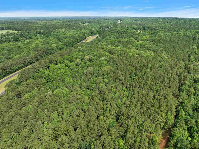 a view of a green field with lots of bushes