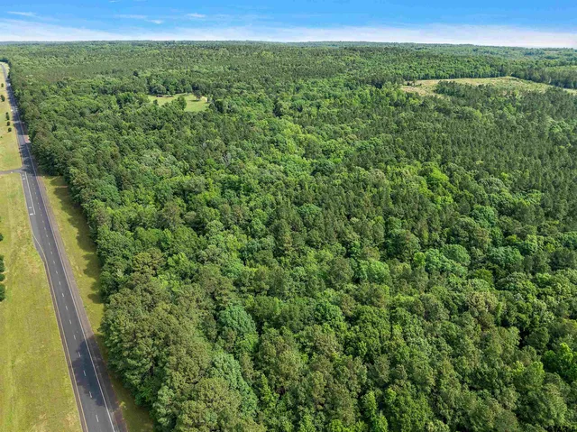 a view of a green yard