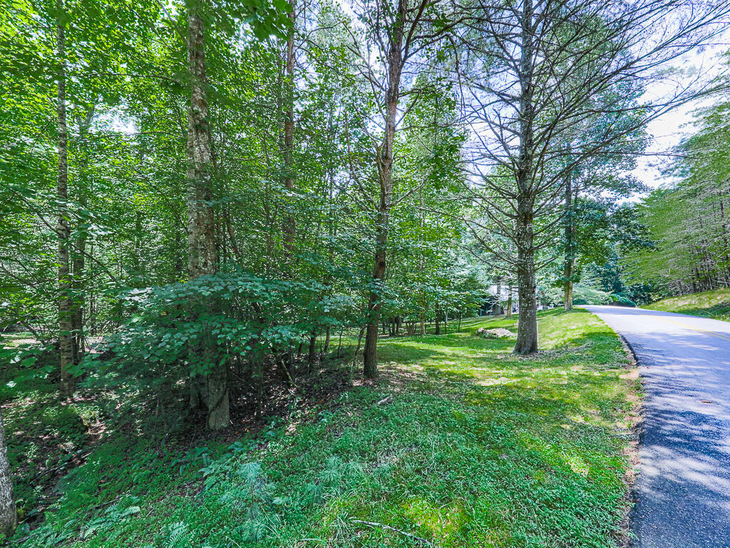 314 Spring Creek Road Blairsville, GA 30512 - Photo 30 of 34 Gallery Image 30