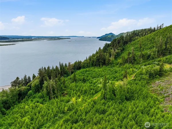 $650,000 | 2169 State Route 4 Highway, Skamokawa, WA 98647
