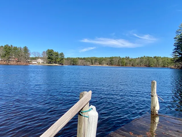 a white house that has tree in front of it