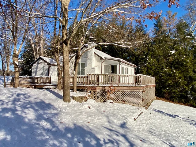 a view of a backyard with a large tree