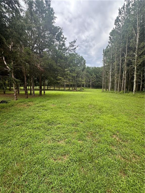 2023 Stephens Road Elberton, GA 30635 - Photo 8 of 21