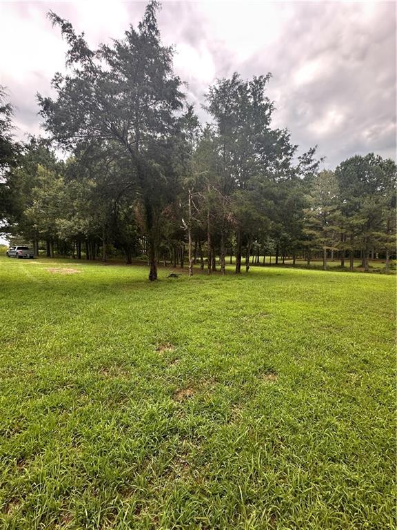 2023 Stephens Road Elberton, GA 30635 - Photo 9 of 21