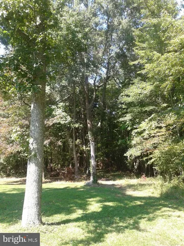 a view of a trees with a yard